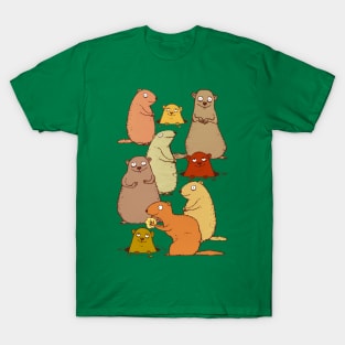 Wake up Groundhogs! T-Shirt